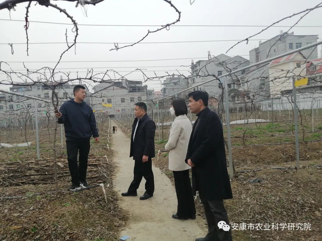 济世康源公司来市农科院寻求科技合作