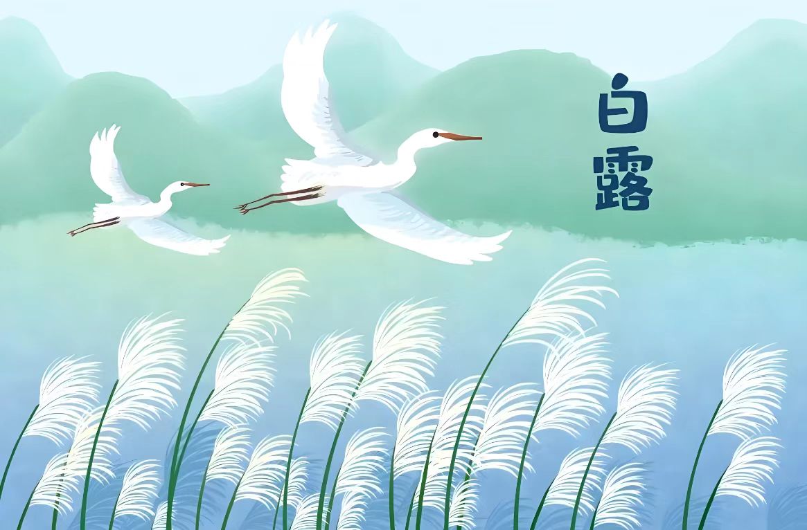 白露节气8个养生攻略