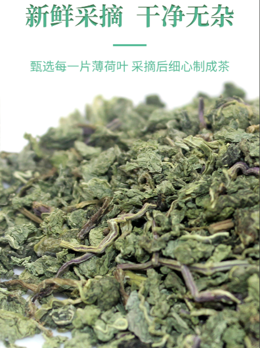 薄荷叶